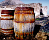 La cultura vinícola de Lanzarote