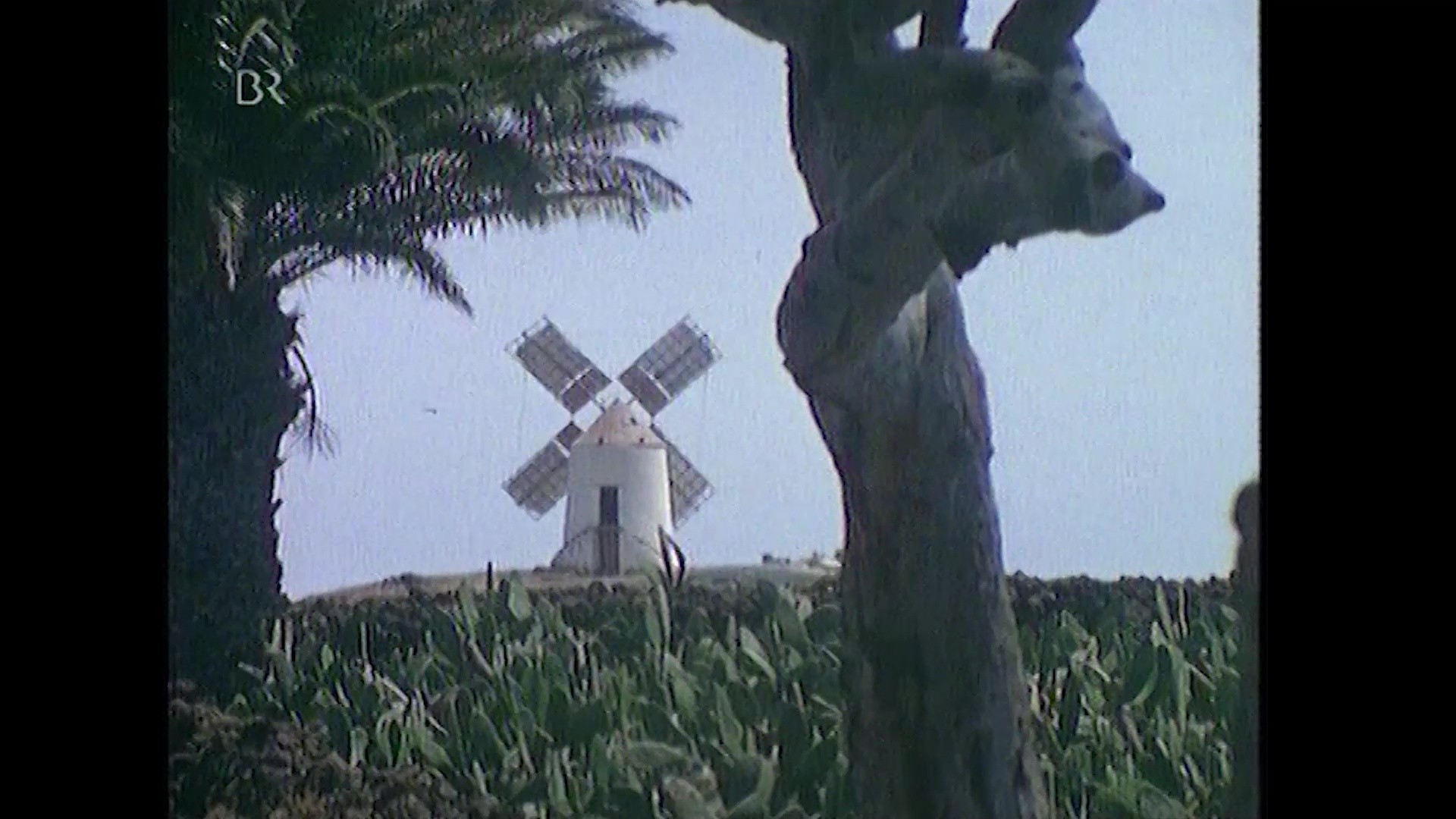 Escenas rurales de Lanzarote (1974)