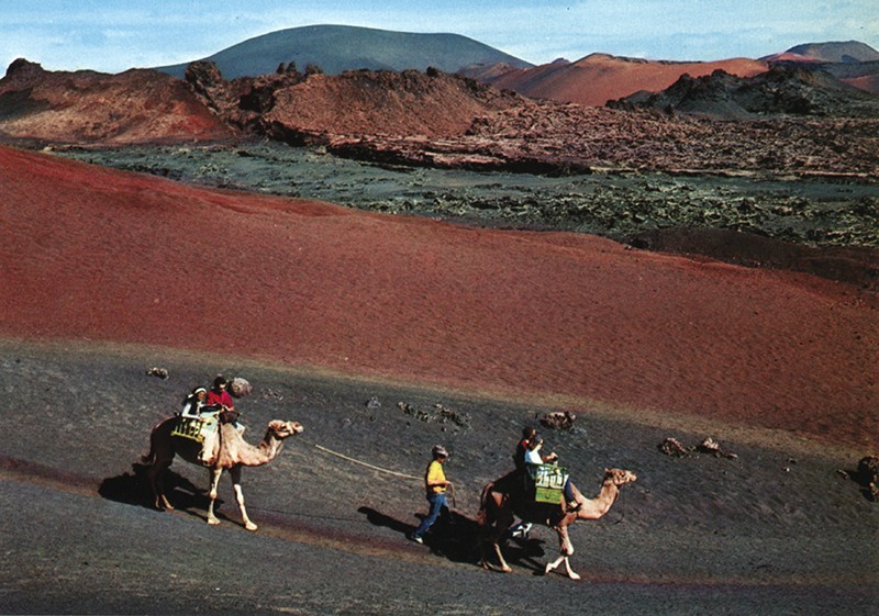 Ruta de los camellos VI