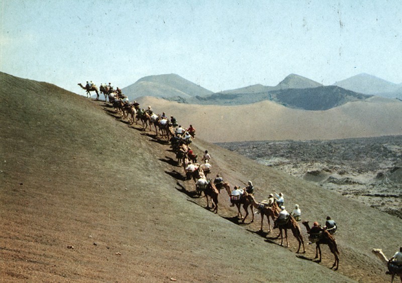 Ruta de los camellos
