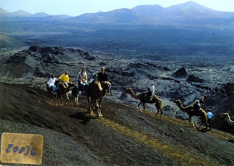 Ruta de los camellos VII