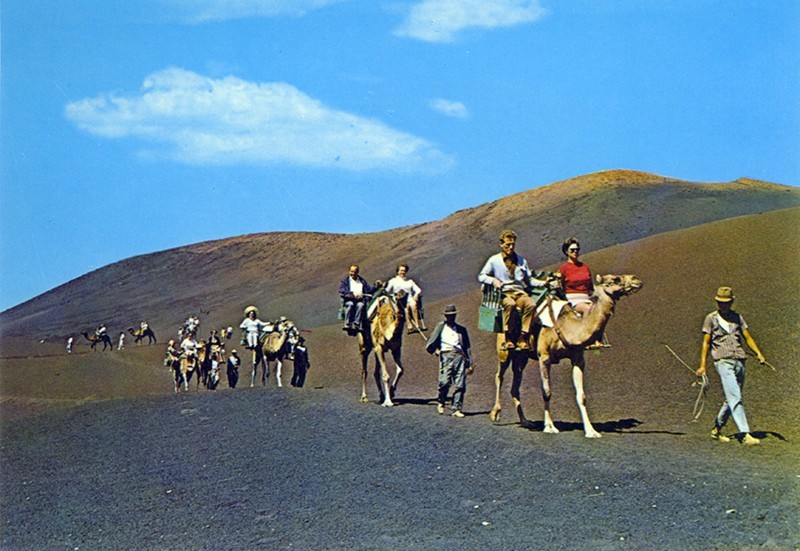 Ruta de los camellos XI