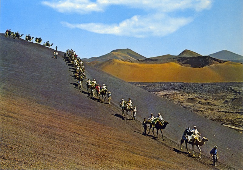 Ruta de los camellos XII