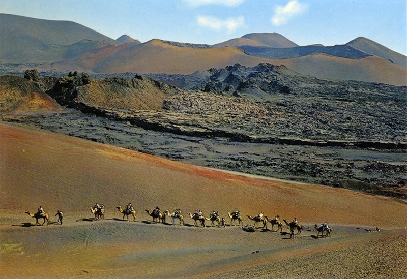 Ruta de los camellos XIII