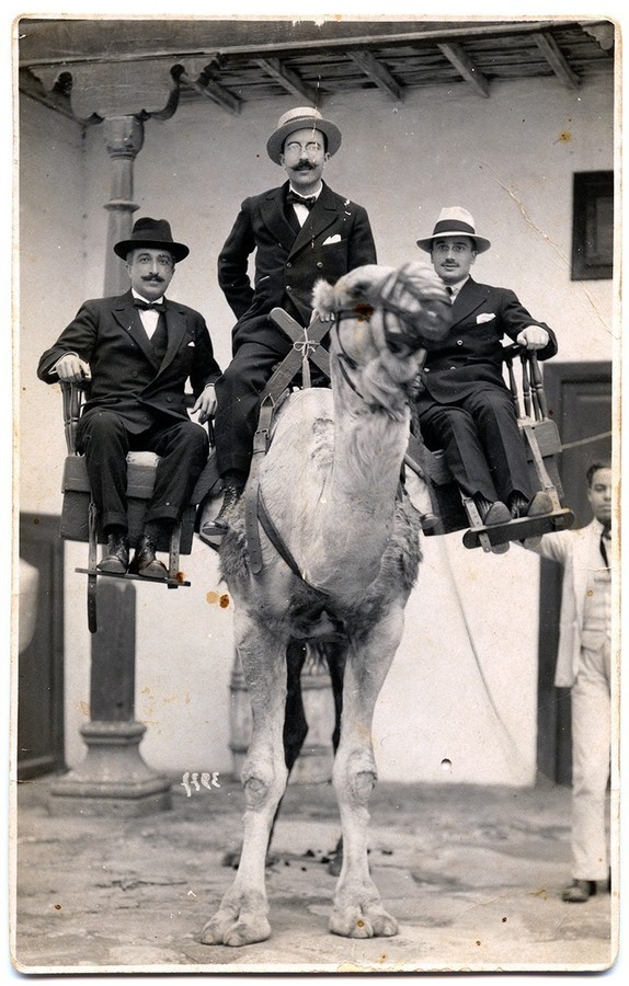 Señores montados en el camello I