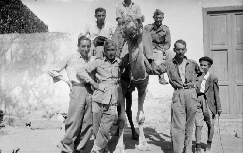 Jóvenes en camello