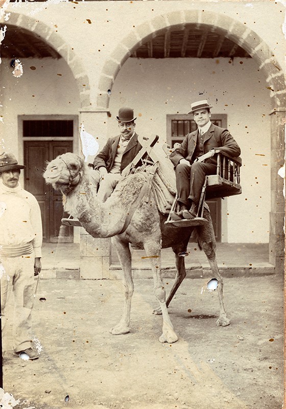 Señores montados en el camello II