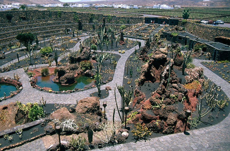 Jardín de Cactus III