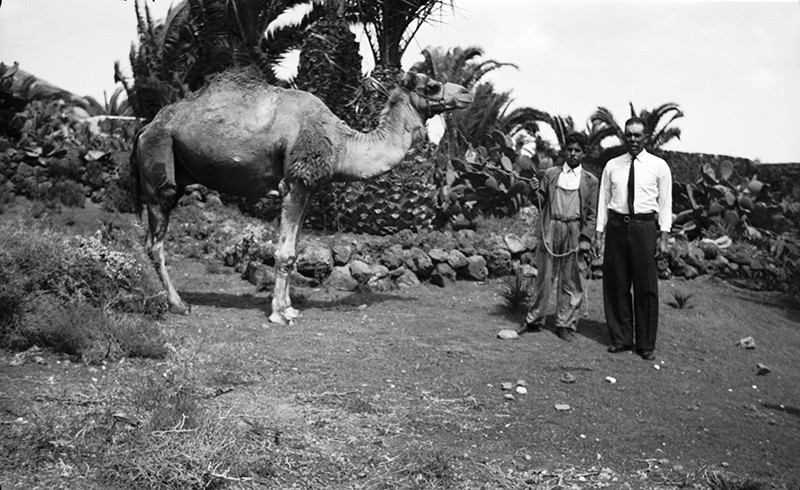 Camello y dueños