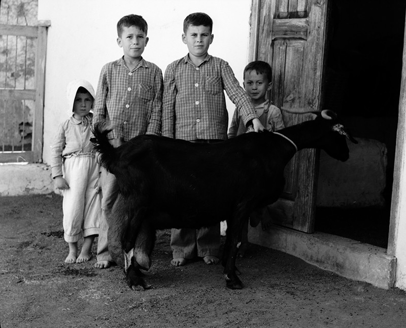 Niños posando con una cabra