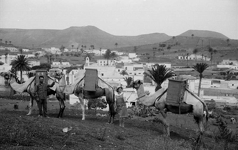 Camellada en Haría II