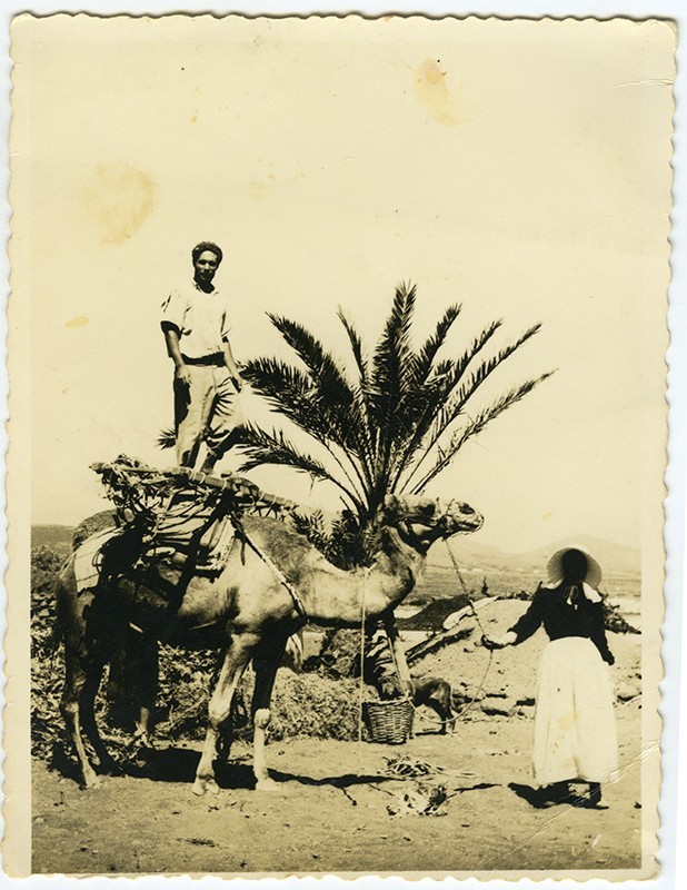 Campesinos cargando un camello VI