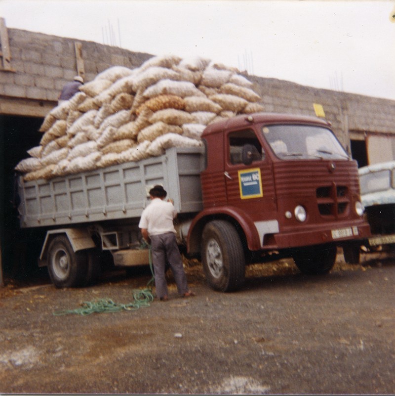 Camión cargado de cebollas