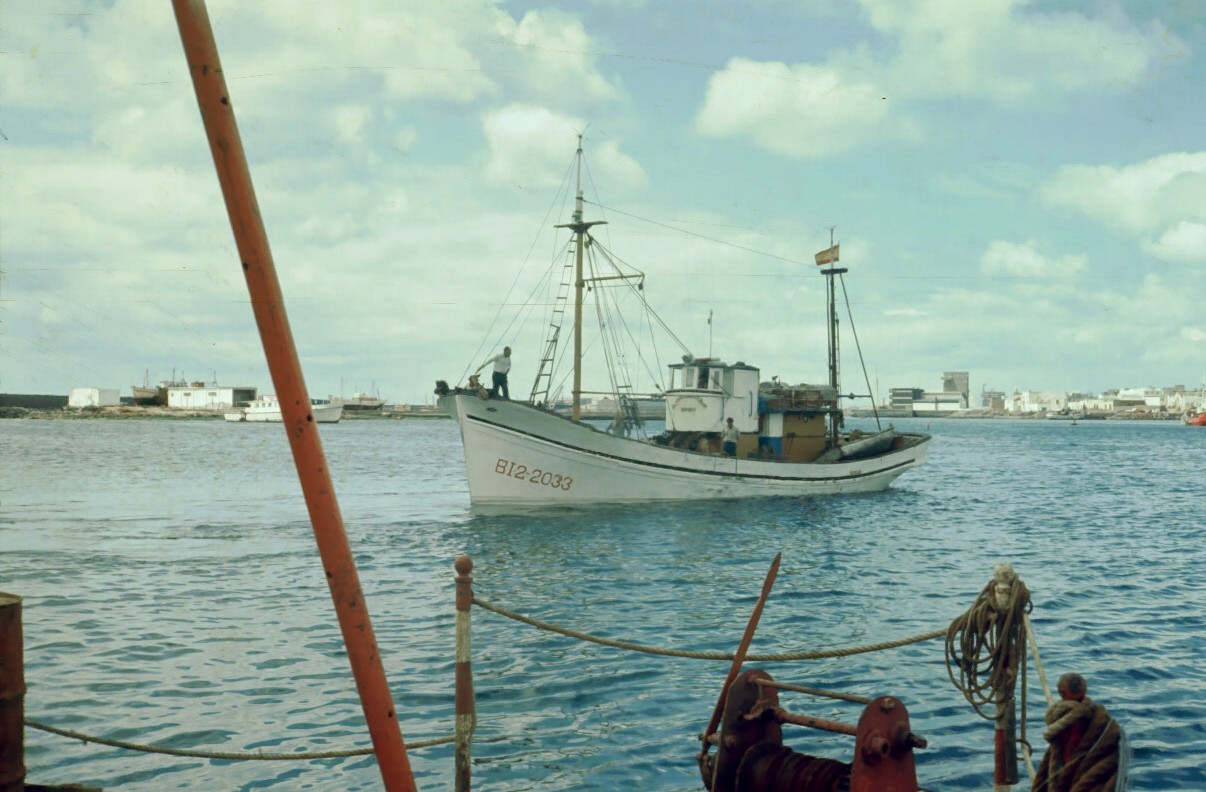 Barco Puerto Naos