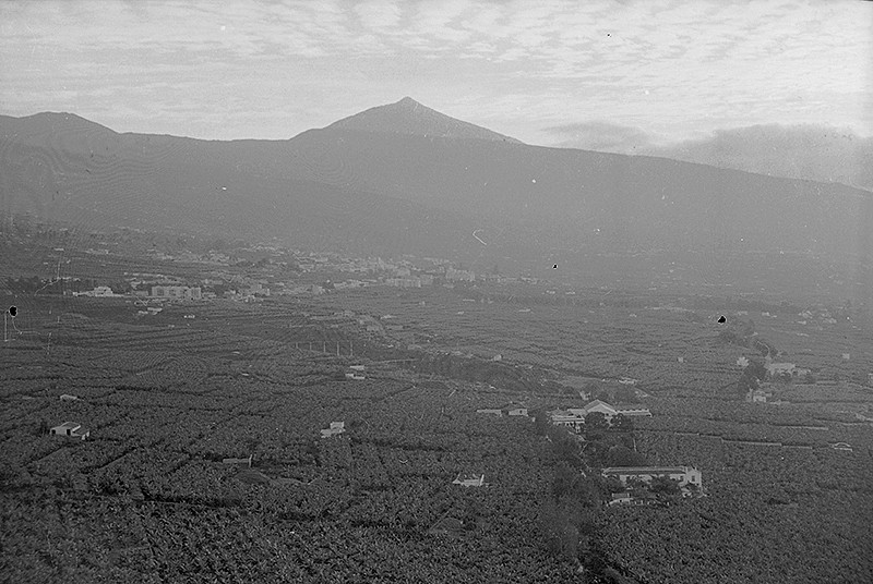 Visita a Tenerife VII