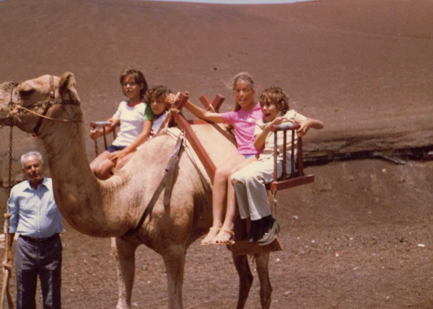 Primos en camello  