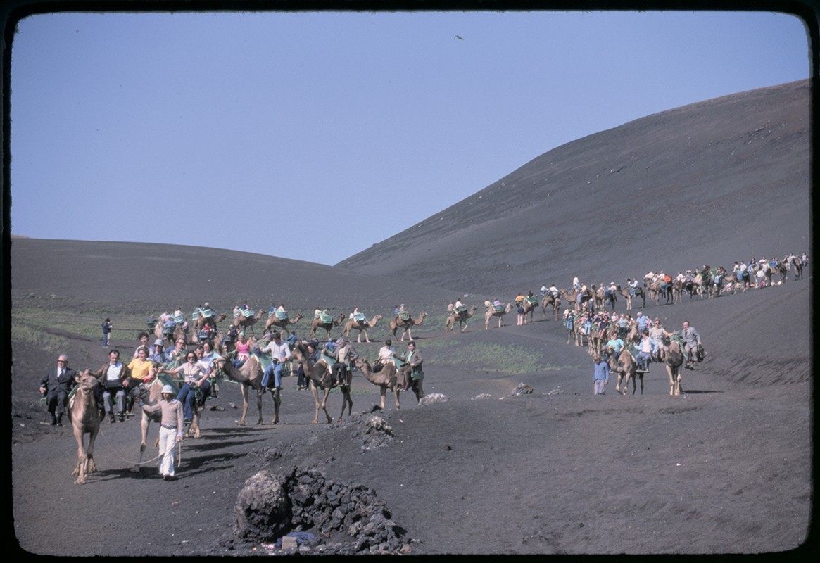 Ruta de camellos en Timanfaya II