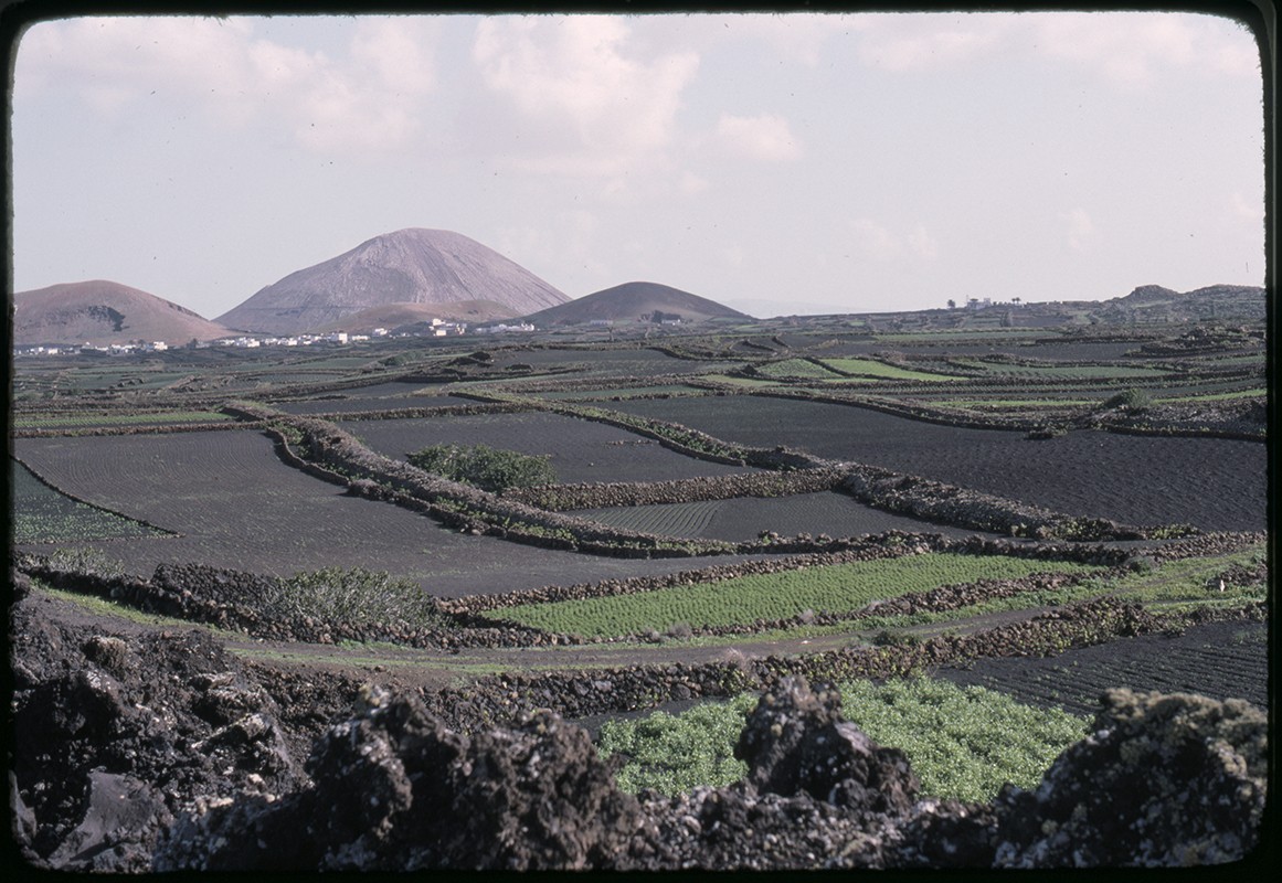 Paisaje agrícola de Lanzarote