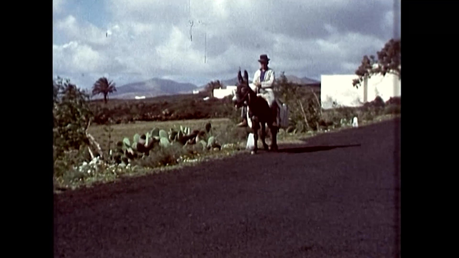 Visita a Lanzarote (1971)