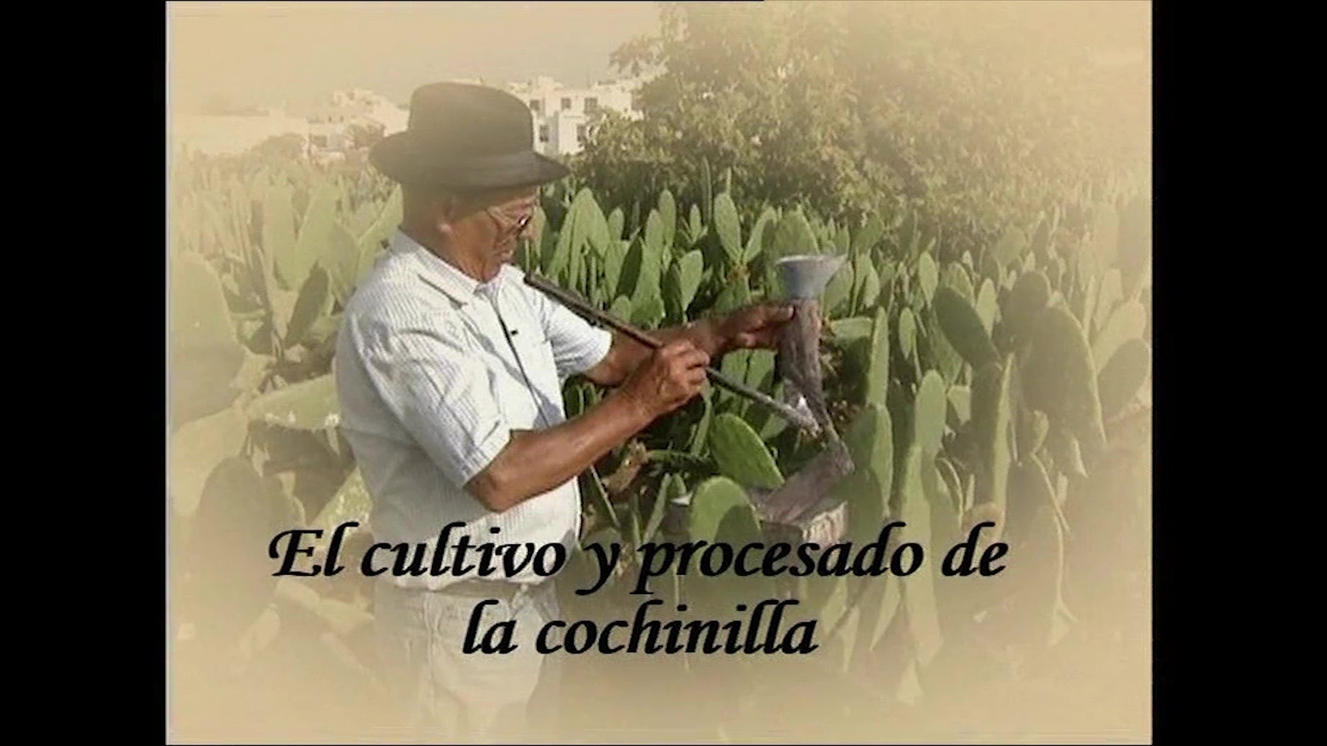 El cultivo y procesado de la cochinilla (2006)