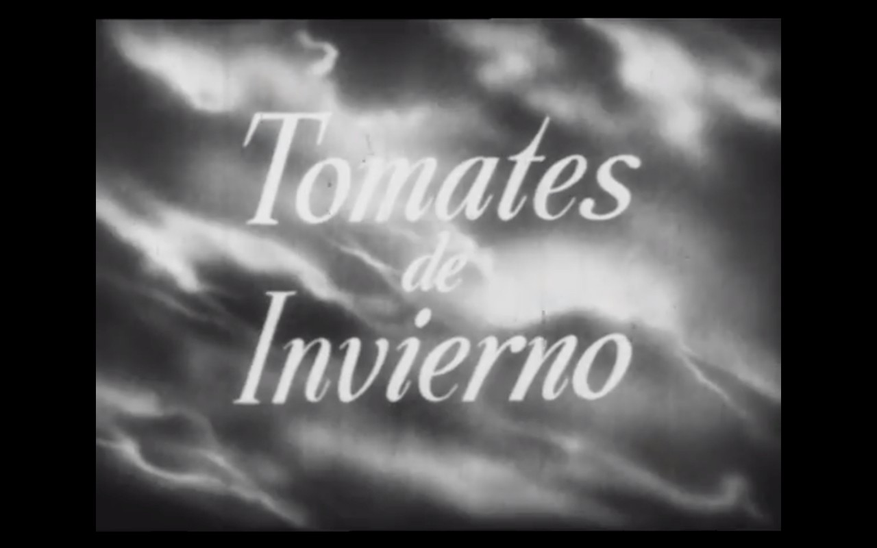 Tomates de invierno (1953)