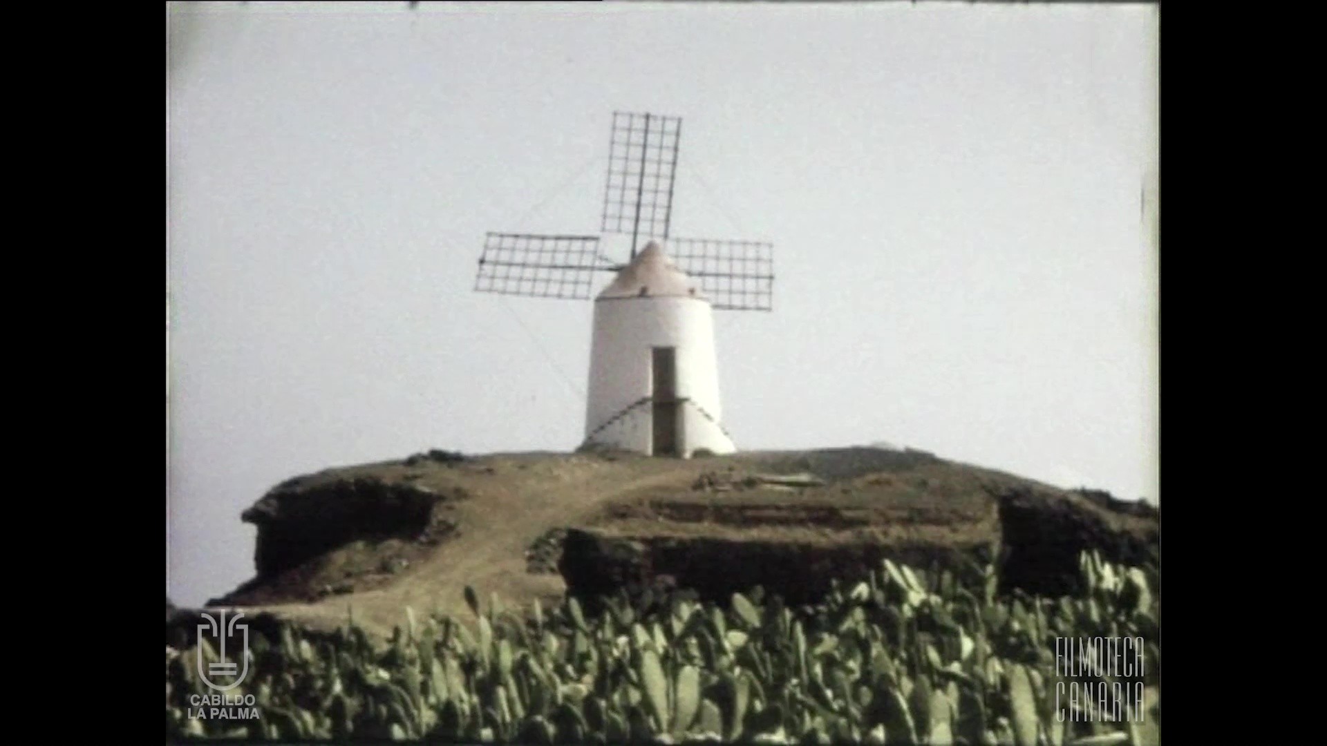 Escenas agrícolas y ganaderas de Lanzarote (c.1975)