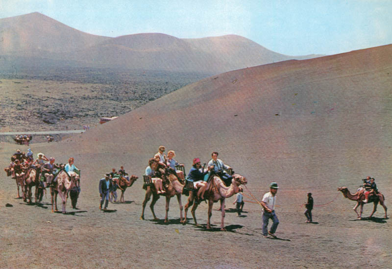 Ruta de los camellos