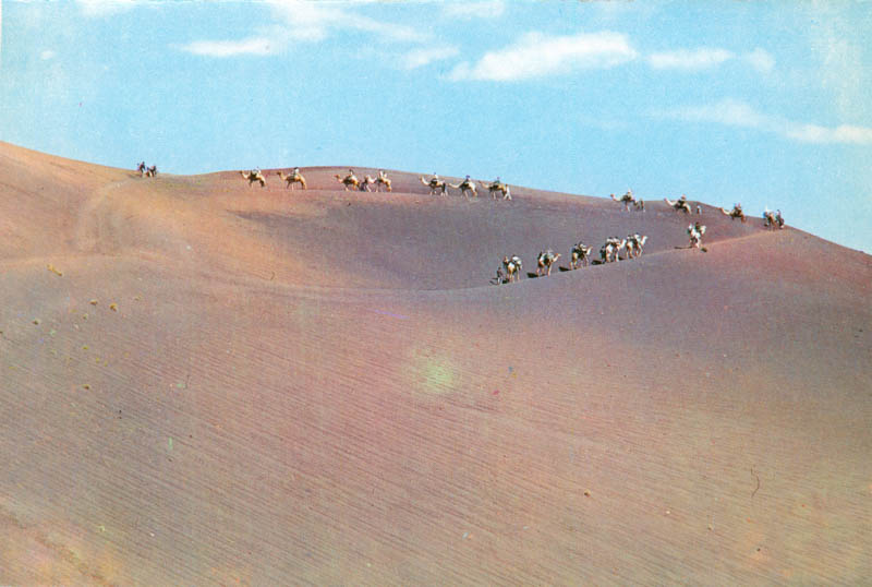 Ruta de los camellos I