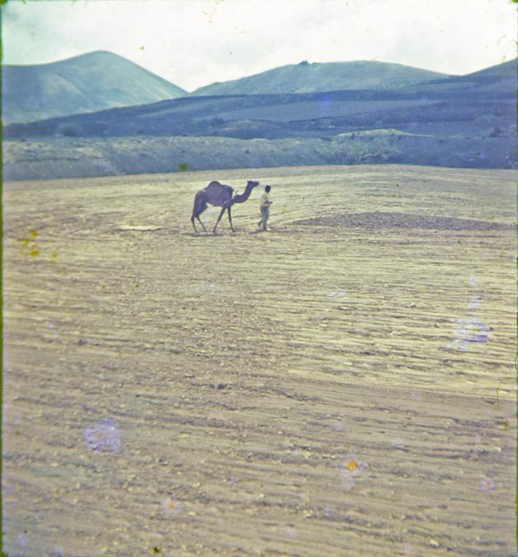 Campesino con camello
