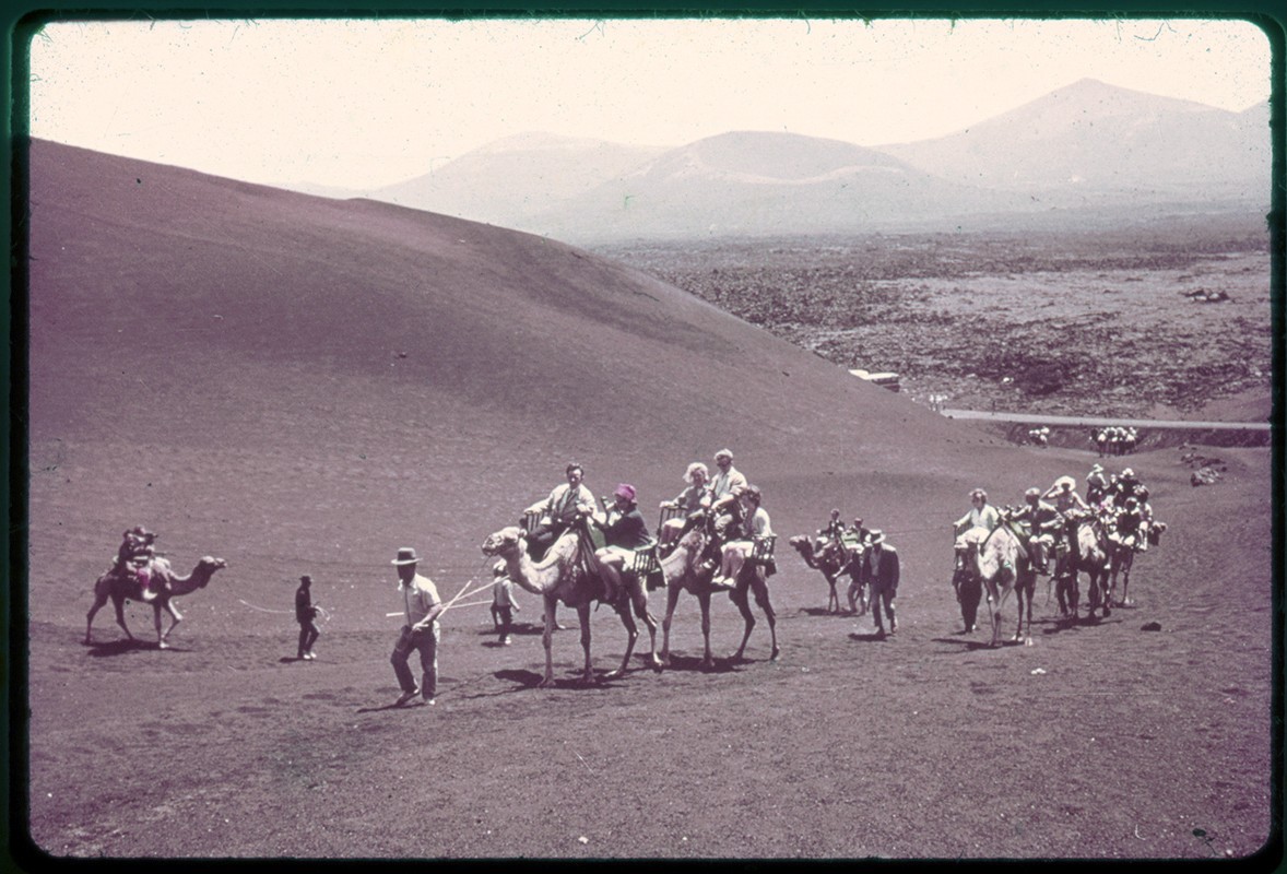 Camellos por Timanfaya III