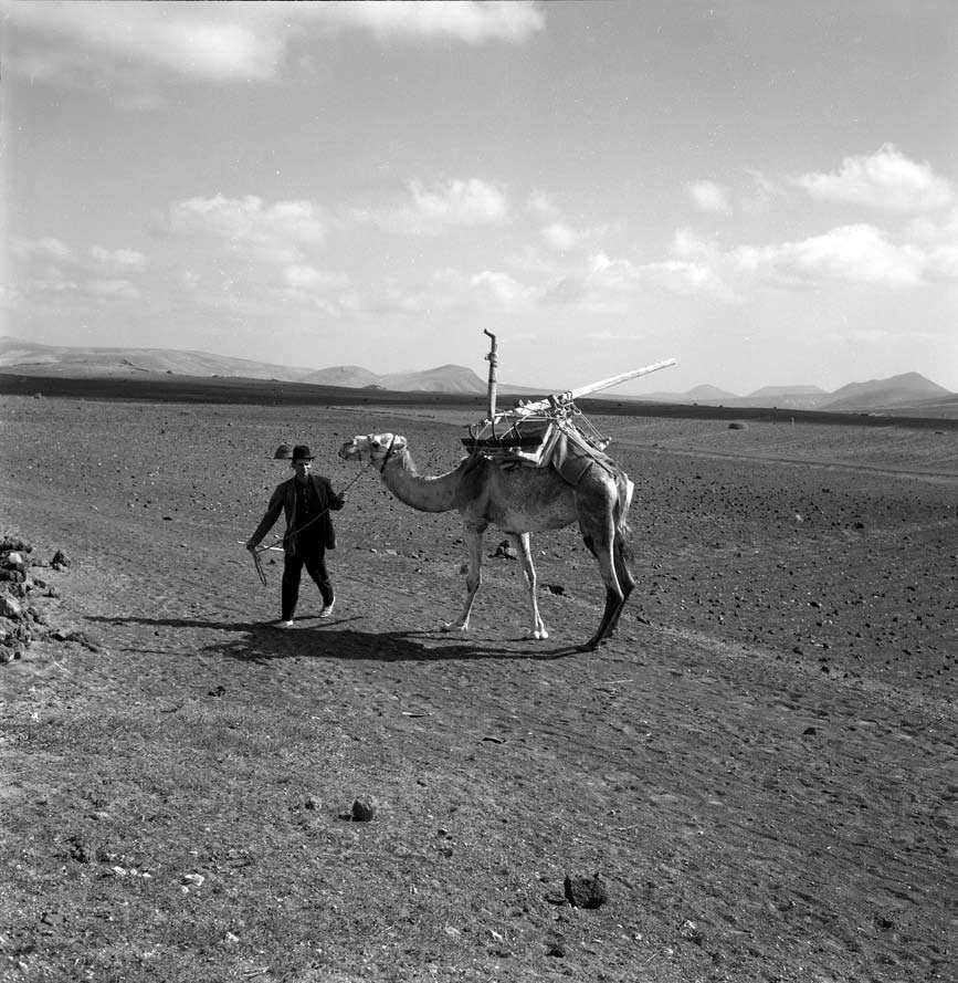 Campesino con camello