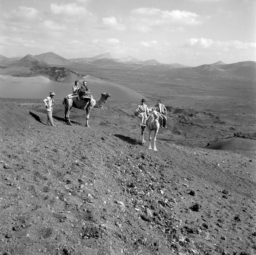 Camellos en las Montañas del Fuego II
