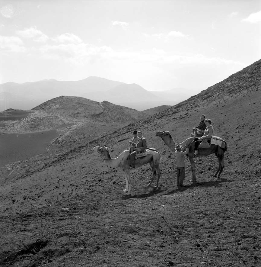 Camellos en las Montañas del Fuego