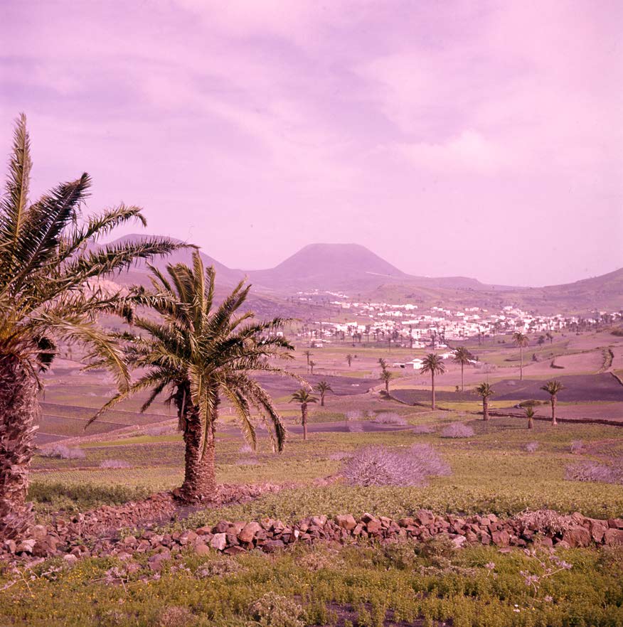 Valle de Haría III