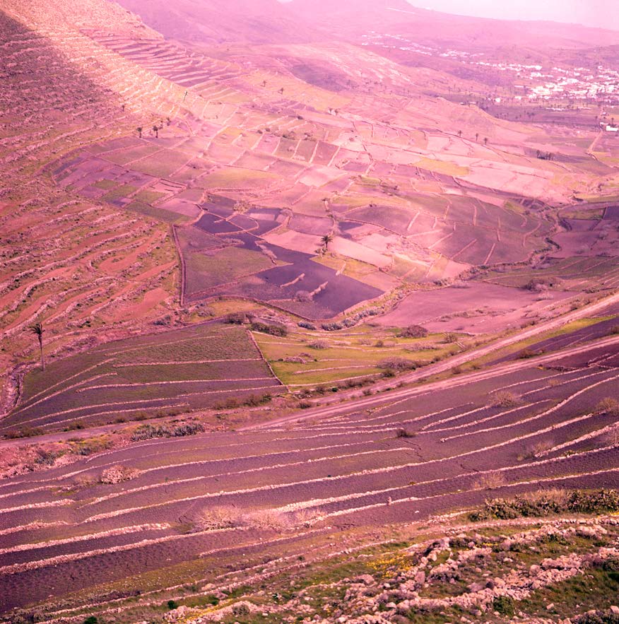 Valle de Haría II