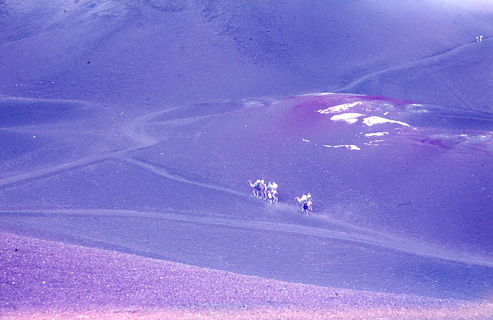 Paseo en camello en Timanfaya III