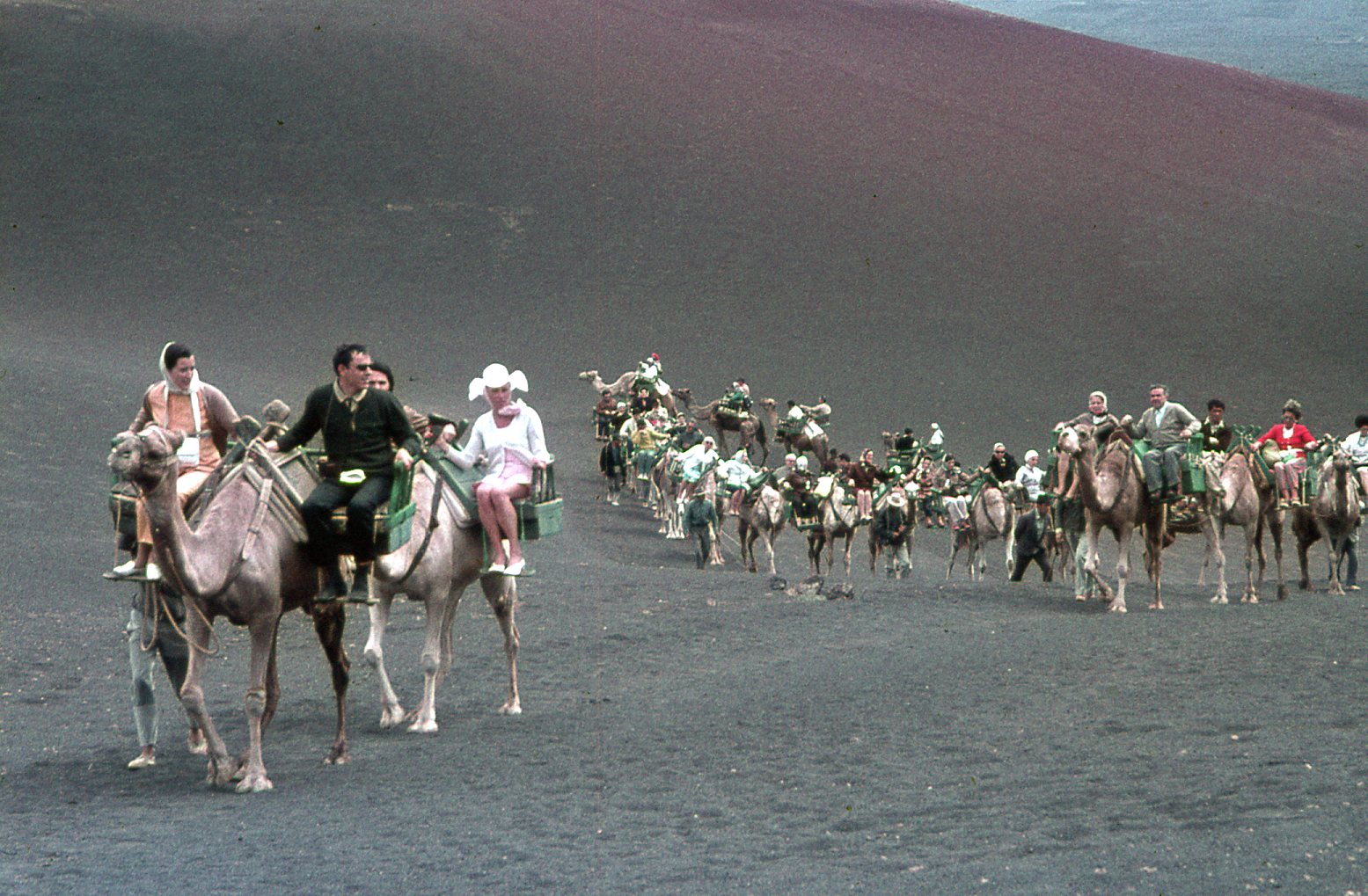 Paseo en camello en Timanfaya V