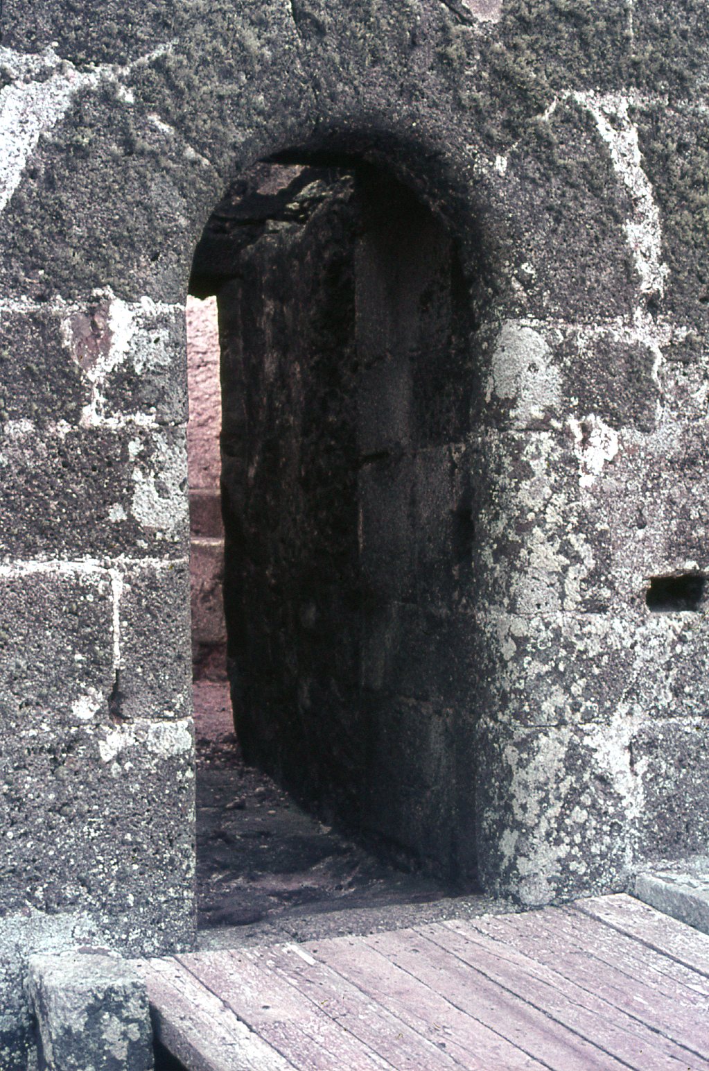 Castillo de Guanapay I