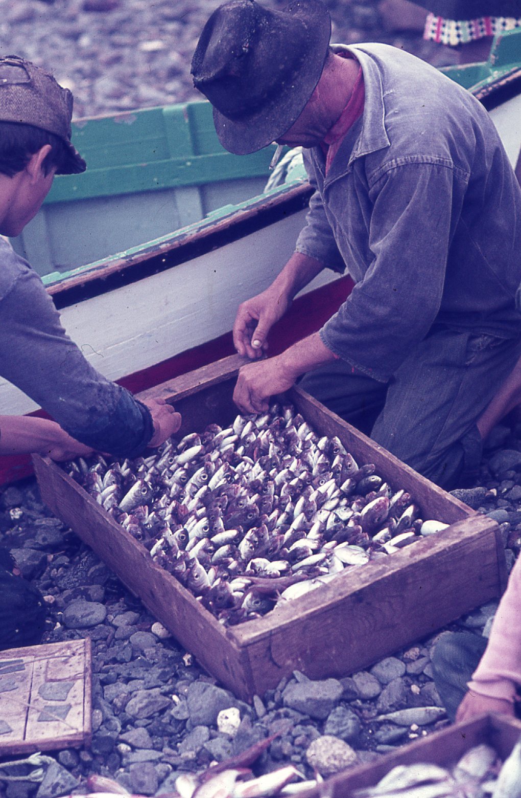 Pescadores con caja de pescado