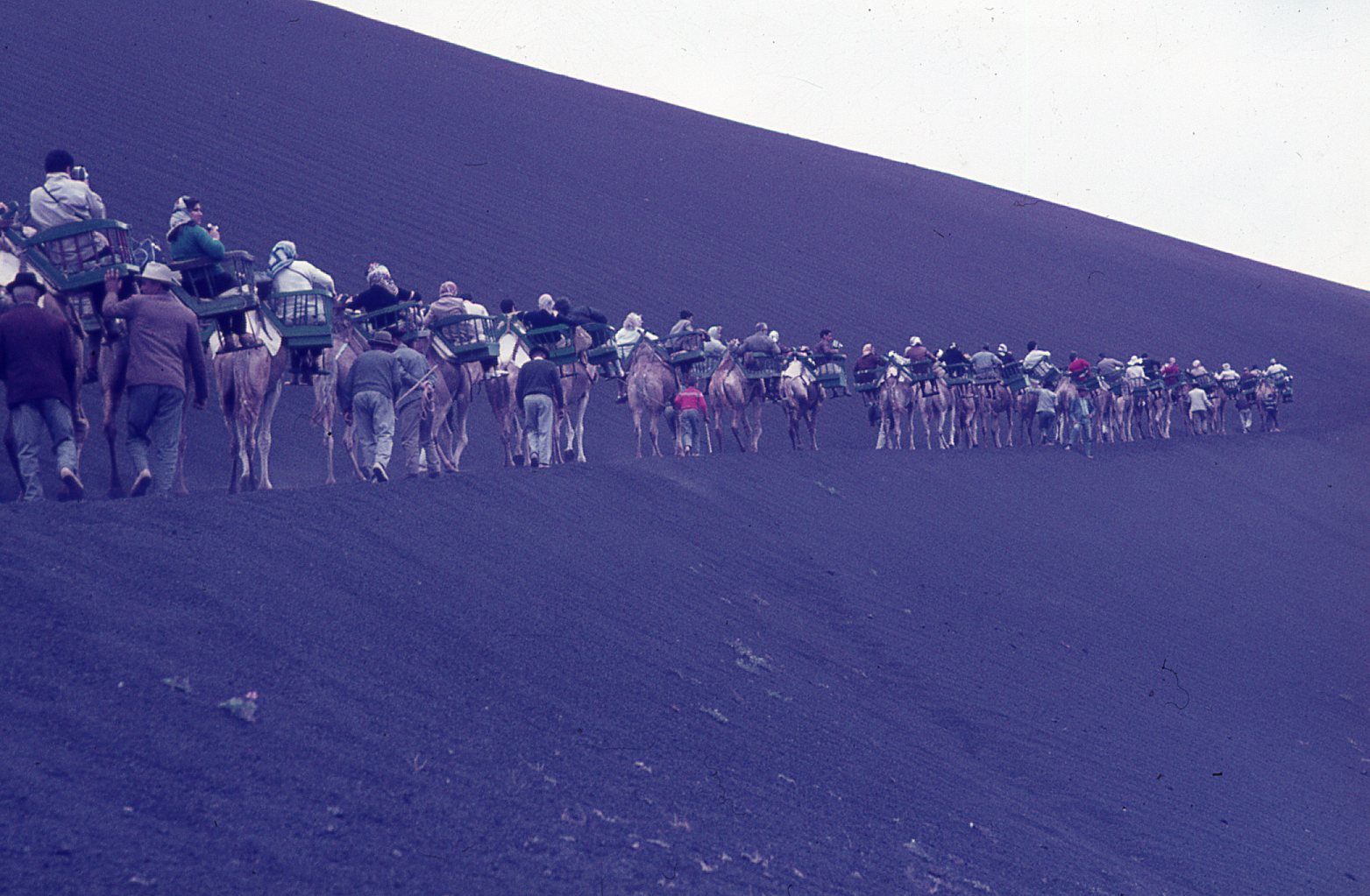 Paseo en camello en Timanfaya II