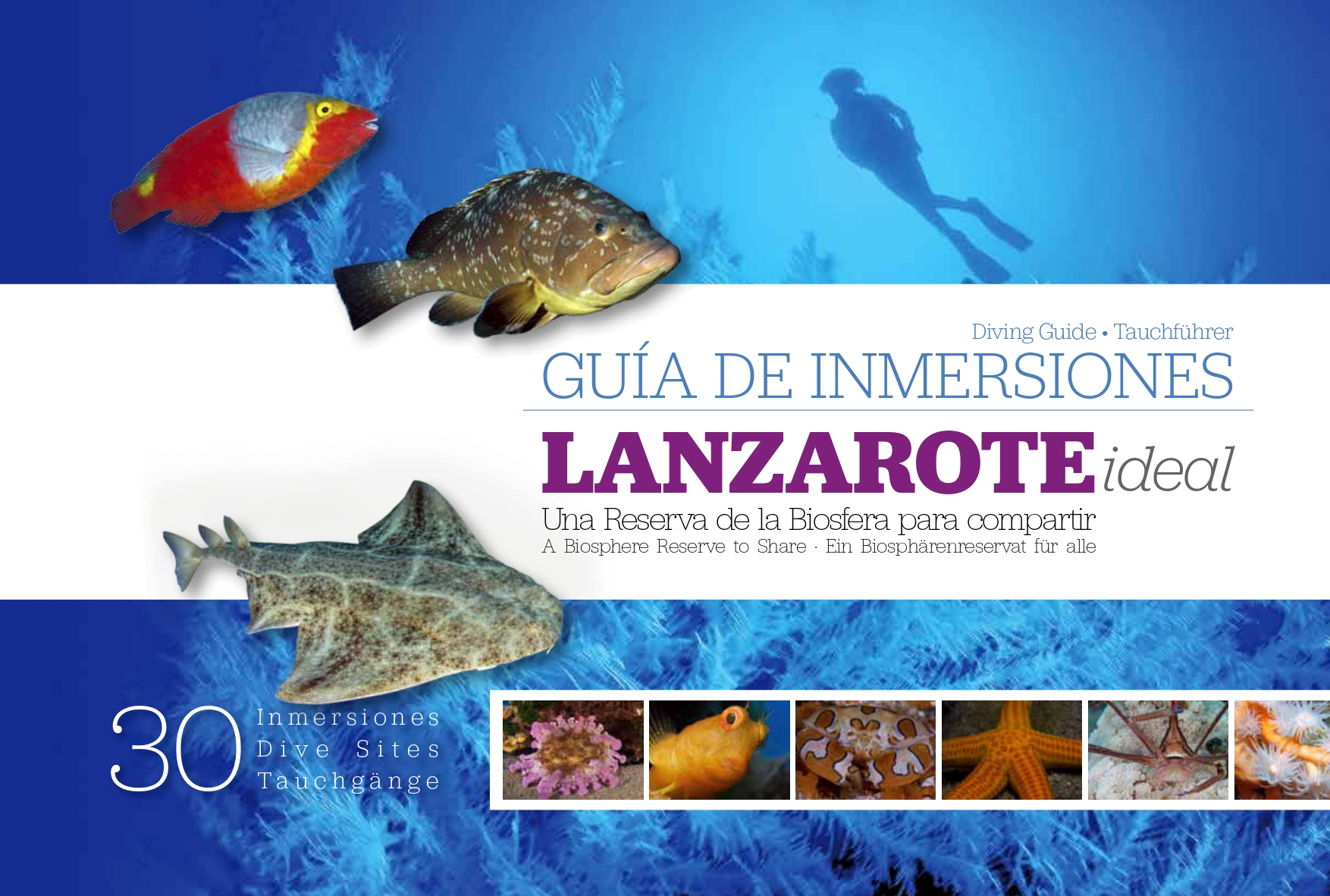 Guía de inmersiones de Lanzarote