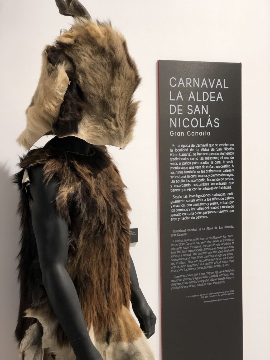 El Carnaval de la Aldea de San Nicolás