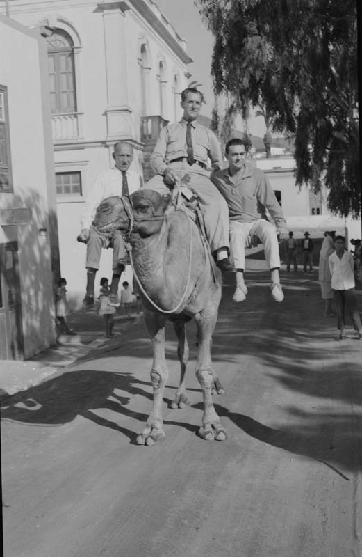 Señores de paseo en camello en el pueblo de Harían (II)