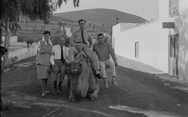 Señores de paseo en camello en el pueblo de Harían (I)